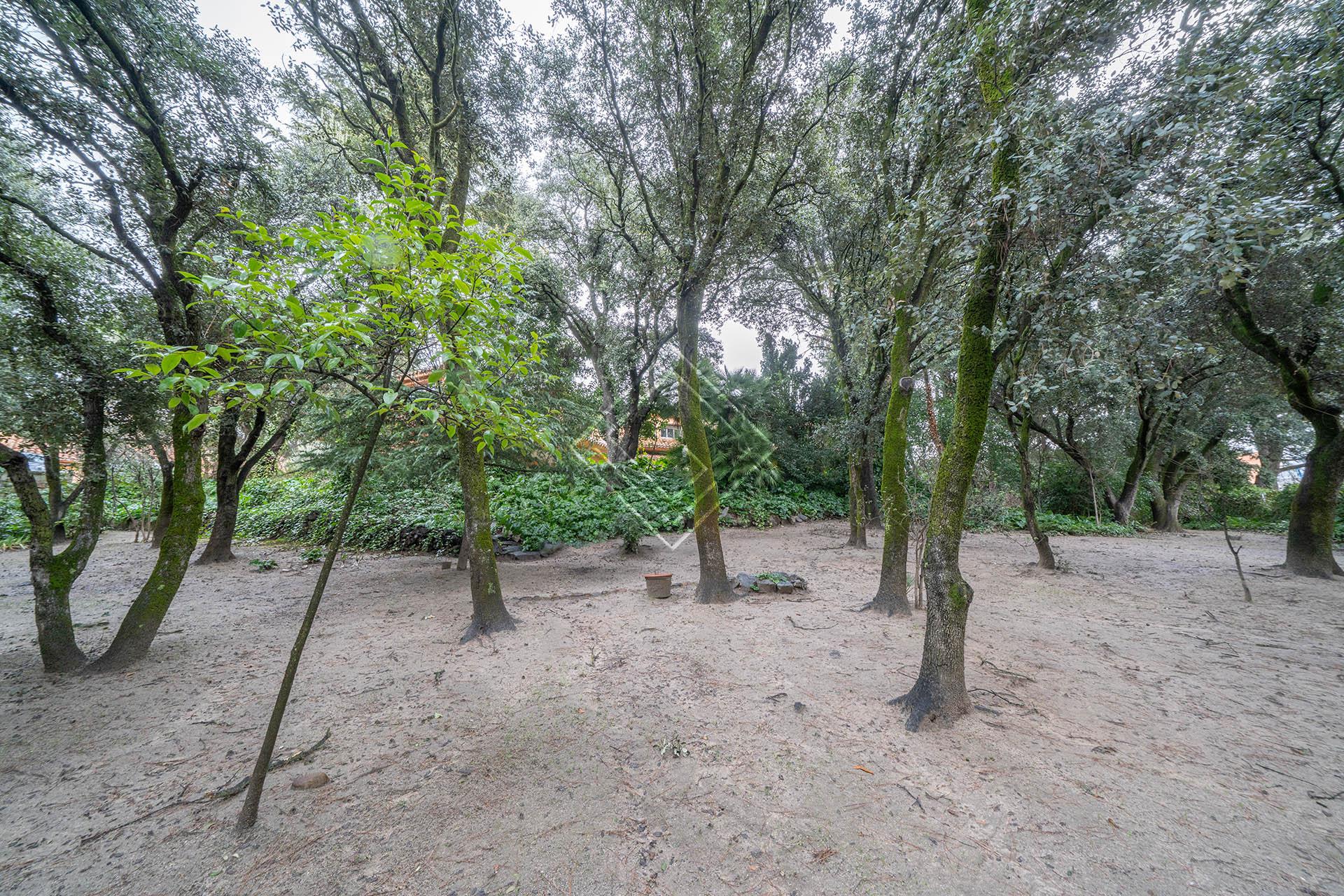 Imagen 46 de la propiedad