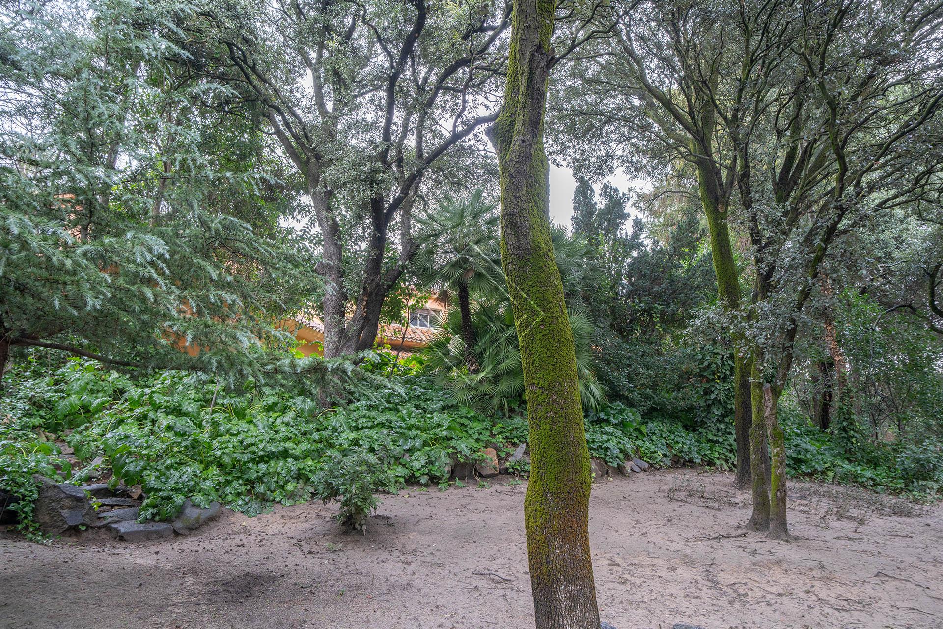 Imagen 48 de la propiedad