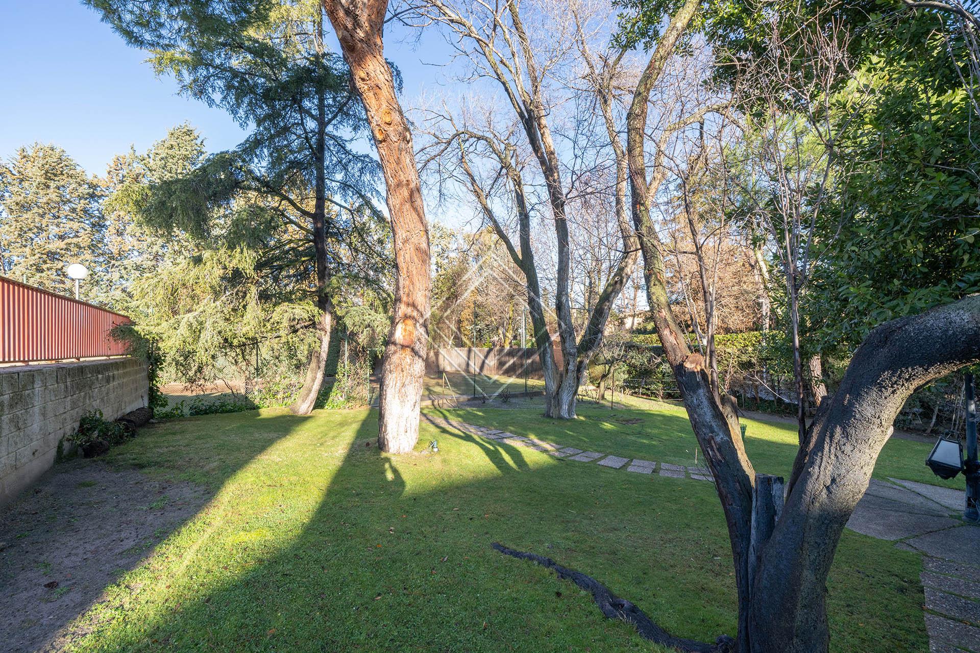 Imagen 47 de la propiedad