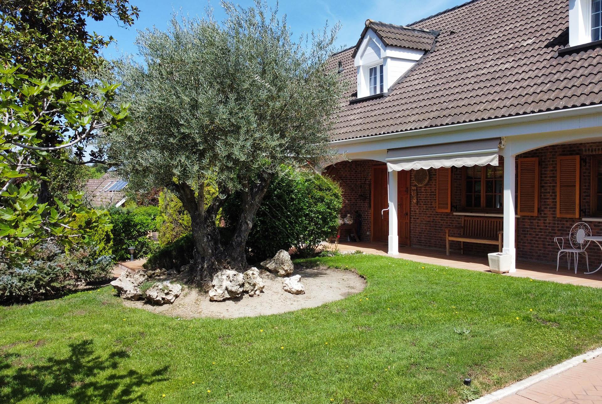 Imagen 4 de la propiedad