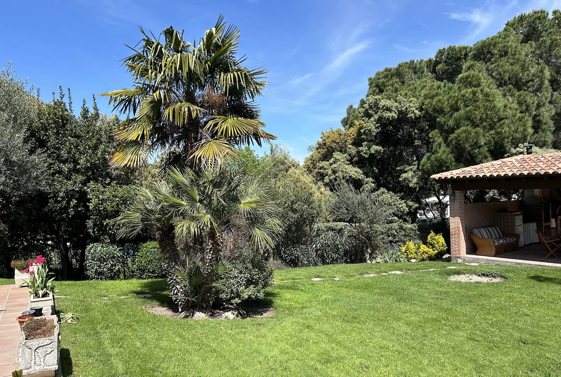 Imagen 37 de la propiedad