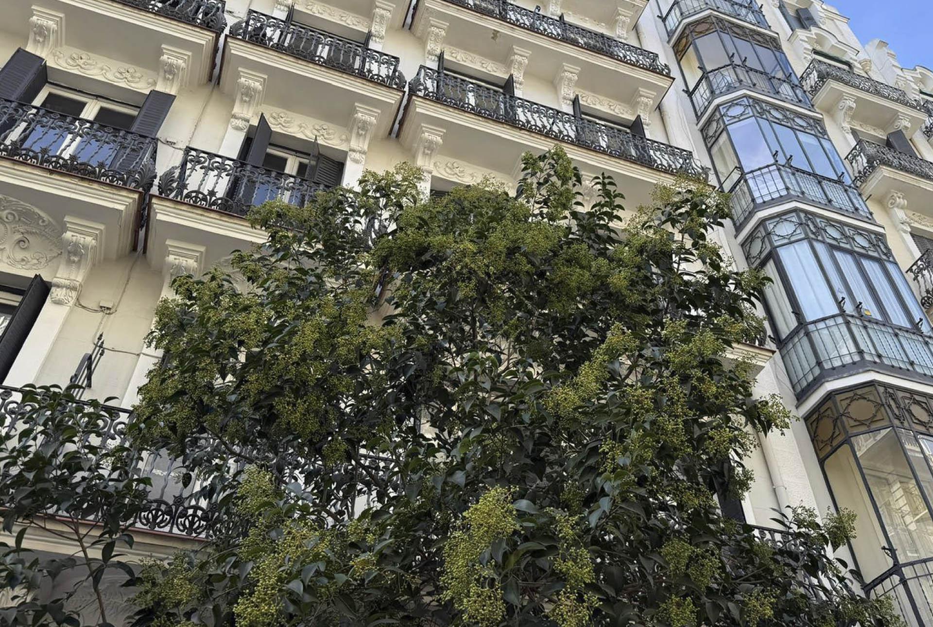 Imagen 3 de la propiedad