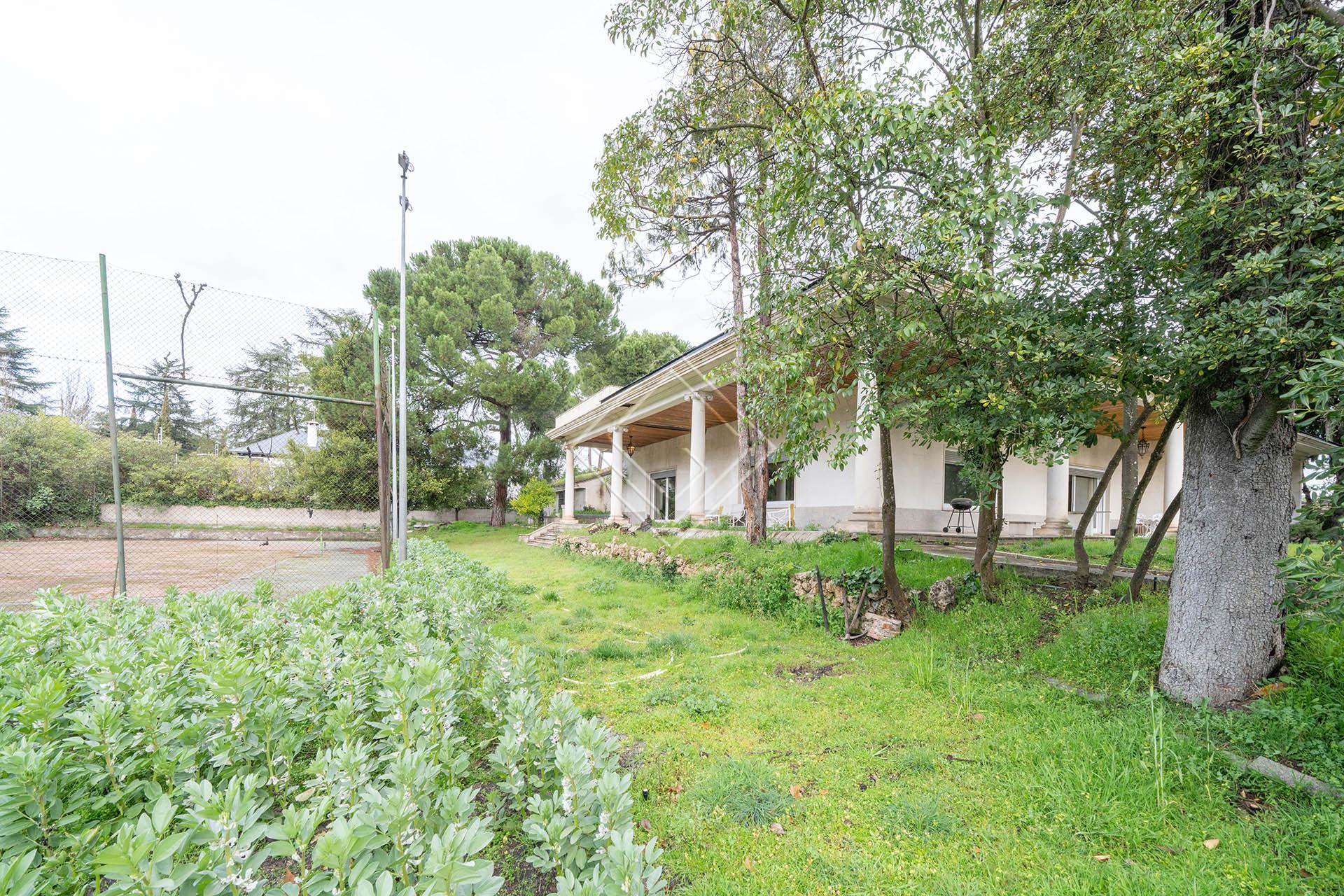 Imagen 7 de la propiedad