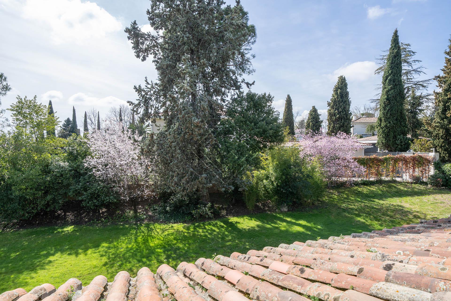 Imagen 28 de la propiedad